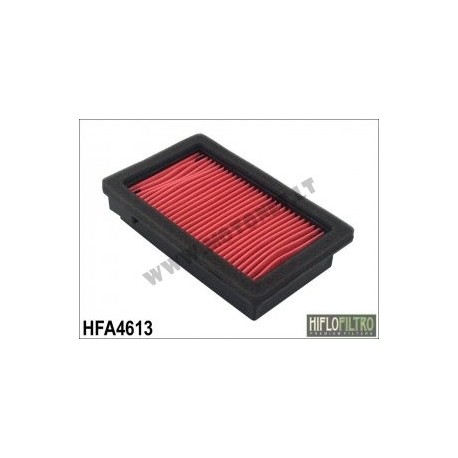 Oro filtras HFA4613