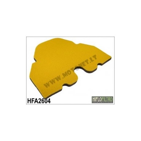 Oro filtras HFA2604