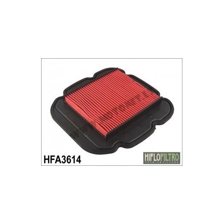 Oro filtras HFA3614