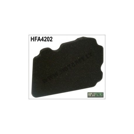 Oro filtras HFA4202