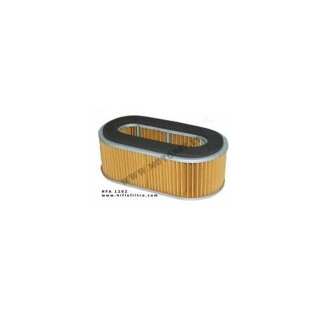 Oro filtras HFA1202