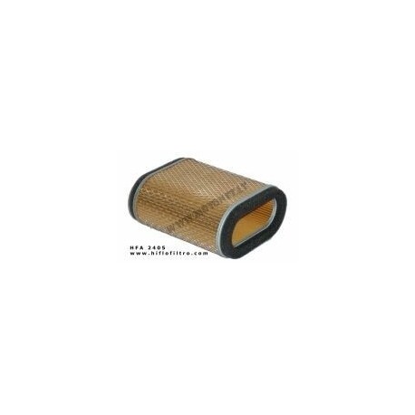 Oro filtras HFA2405