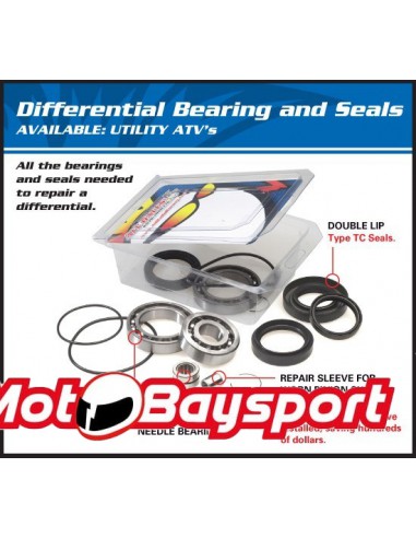 DB25-2062 Differential bearings and seals kit