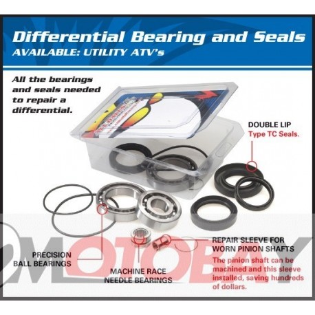 DB25-2062 Differential bearings and seals kit