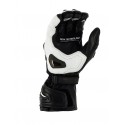 RICHA WARRIOR EVO