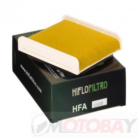 Oro filtras HFA2503