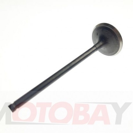 INTAKE VALVE