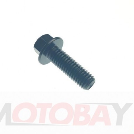 HEXAGON FLANGE BOLT M8X25