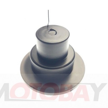 OIL SEAL PLUG