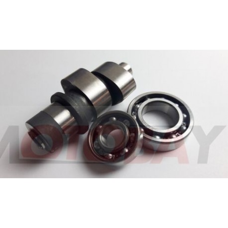 CAMSHAFT ASSY1