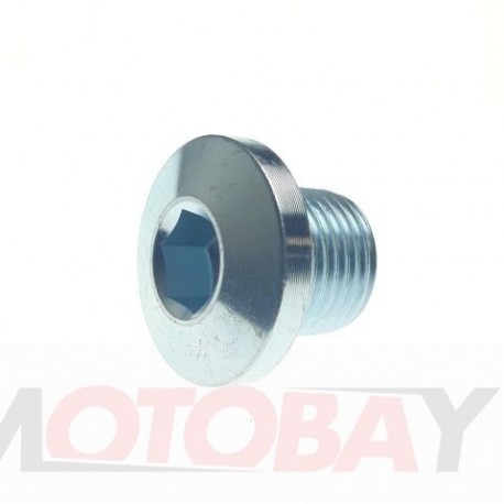 OIL HOLE BOLT