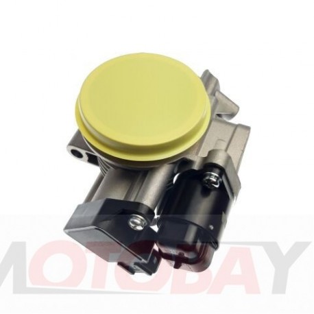 THROTTLE BODY ASSEMBLY (MARK "D46F-1")