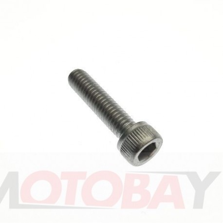 SCREW, SOCKET HEAD M6X25