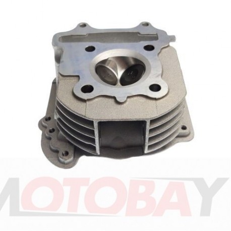 CYLINDER HEAD ASSY.