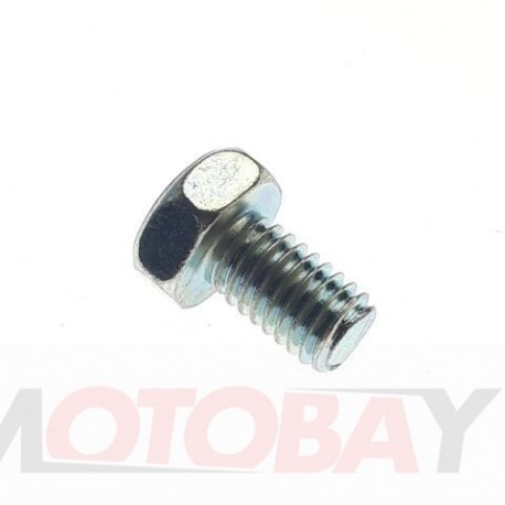 BOLT, HEX HEAD M6X10 ( FOR C.D.I.)