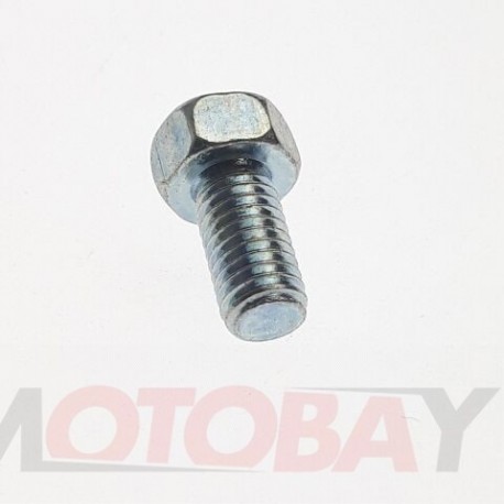 SCREW OVAL HEAD M5X10