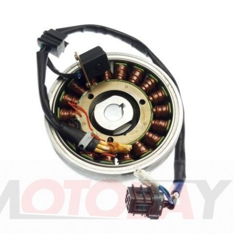 FLYWHEEL MAGNETO ASSY