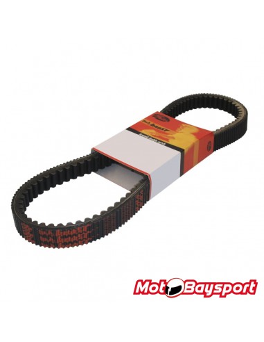 GATES DRIVE BELT