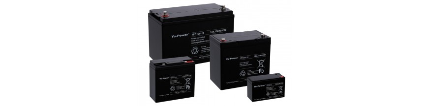 Standart batteries BS-BATTERY