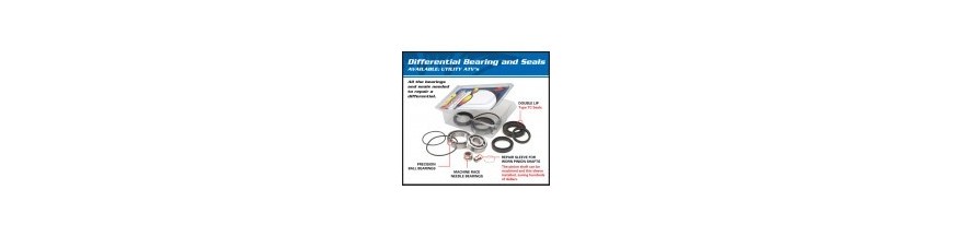 Differential bearings and seals kit