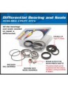 Differential bearings and seals kit